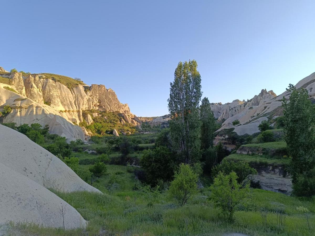 Sah Saray Cave Suites Halal Hotel Göreme Buitenkant foto